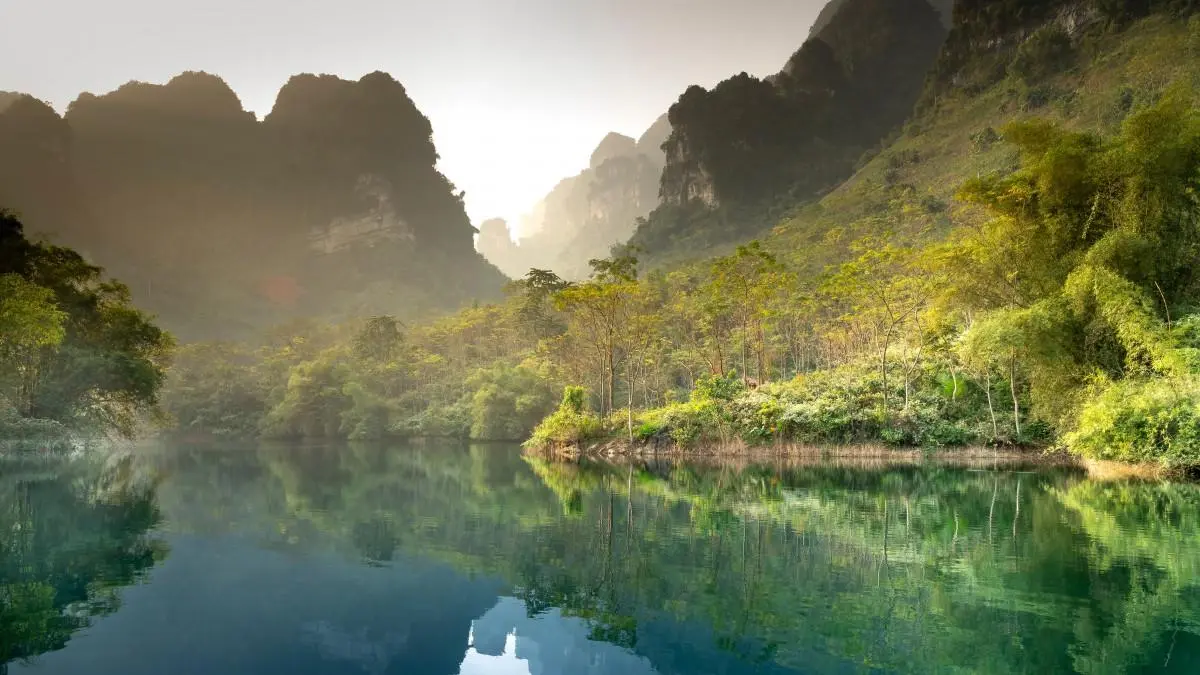 高性能高性能独特